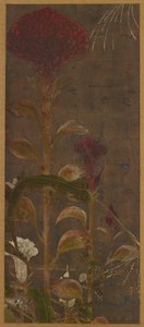 Coxcombs, Maize and Morning-Glories by Unbekannt