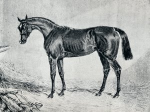 Cyprian, 19th century by Unbekannt