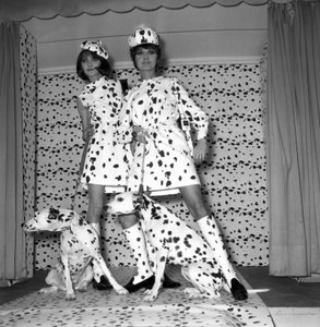 Dalmatian Mode by Unbekannt