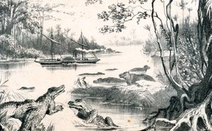 David Livingstone Navigating the Zambezi, Africa