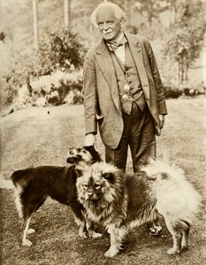 David Lloyd George, 1935 by Unbekannt