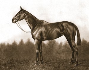 Demure, 1911