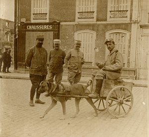 Dog-cart, France by Unbekannt