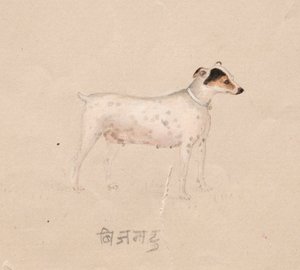 Dog, 1800s by Unbekannt