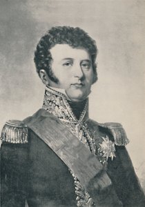 Dominique-Joseph-René Vandamme - Count of Unsebourg