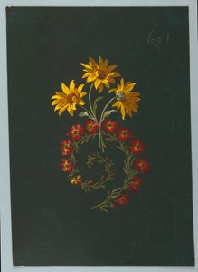 Drawing from Saint Germain - Volumes 1 & 2 by Unbekannt
