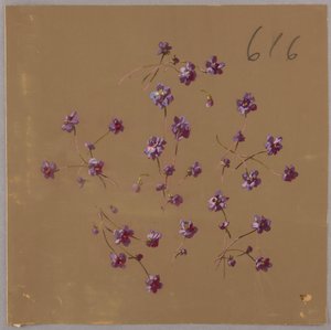 Drawing, from Saint Germain - Volumes 1 & 2