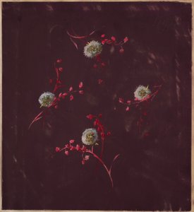 Drawing, from Saint Germain - Volumes 1 & 2, ca. 1896