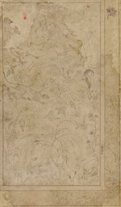 Drawing of Animals and Plants by Unbekannt