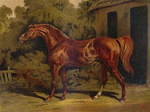 Eclipse, c1879