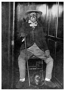Effigy of Jeremy Bentham with His Embalmed Head, University College, London, 1956 by Unbekannt