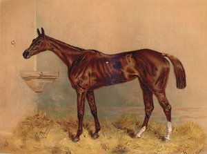 Emblem, Steeplechase Mare by Unbekannt