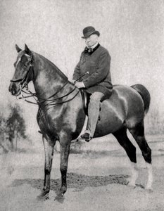 Emile de Girardin, French journalist, publicist and politician by Unbekannt