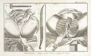 Early-Modern Equipment by Unbekannt