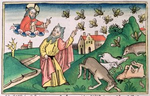 Moses and the Swarm of Flies, One of the Seven Plagues of Egypt