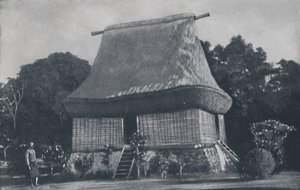Fijian House