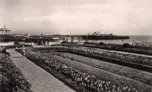 Floral gardens and the West Pier, Brighton, Sussex