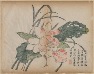 Flowering Lotus and Bud, 18th Century by Unbekannt