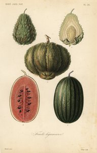 Fruits