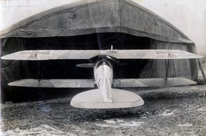 German Albatros DV, Souilly, France, 2 January 1918 by Unbekannt