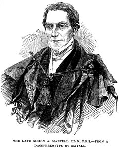 Gideon Algernon Mantell, English Geologist by Unbekannt