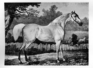 Gimcrack