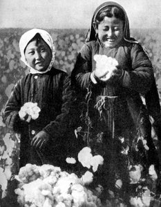 Girls in a cotton field, Kazakhstan by Unbekannt
