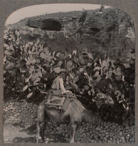 Golgotha The Place of the Skull, c1900 by Unbekannt