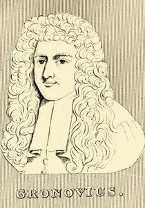 Gronovius