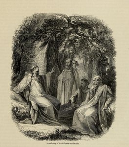 Group of Archdruids and Druids From the book Old England: A Pictorial Museum