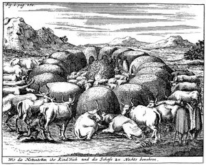 Guarding Sheep and Cattle at Night, South Africa