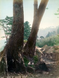 Hata at Hakone Road, Japan by Unbekannt