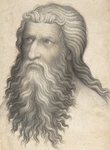 Head of a Bearded Man by Unbekannt