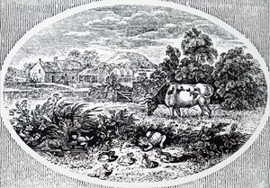 Headpiece by Thomas Bewick