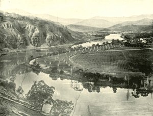 Hop Gardens in Tasmania