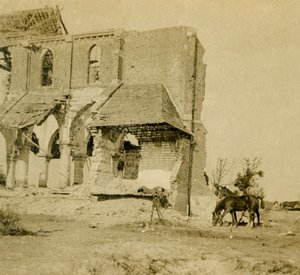 Horses grazing near ruined church, Frise, northern France by Unbekannt