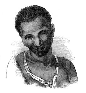 Hottentot Female