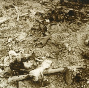 Human remains, Verdun, northern France, c1914-c1918 by Unbekannt