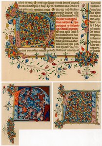 Illuminated Initial Letters by Unbekannt