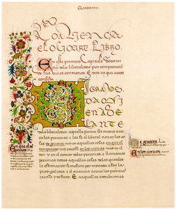 Illuminated letter D