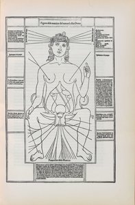 Illustration from Fasciculo di Medicina by Johannes de Ketham by Unbekannt