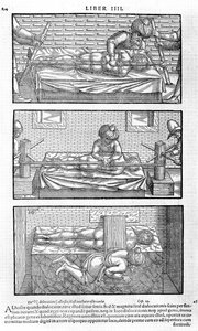 Illustration from Liber Canonis de Medicinis Cordialibus by Avicenna by Unbekannt