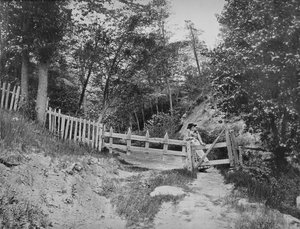In the Berkshire Hills, Massachusetts