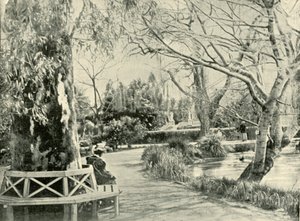 In the Botanic Gardens, Adelaide by Unbekannt