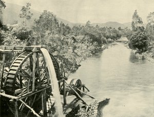 In the Ovens River, Germantown, 1901 by Unbekannt