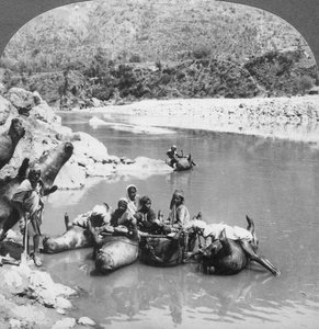 Inflated Bullock Skins Used as Ferry Boats on the Sutlej River, Punjab, India by Unbekannt