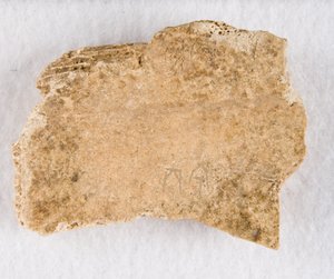 Inscribed Bone Fragment Oracle Bone, Late Shang Dynasty by Unbekannt