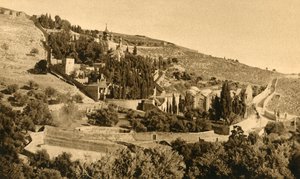 Jerusalem - Gethsemane, c1918-c1939