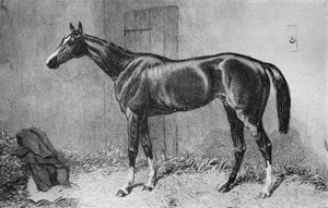 Kettledrum, c1860s by Unbekannt
