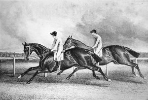 Launcelot and Maroon, c. 1840s, 1911 by Unbekannt
